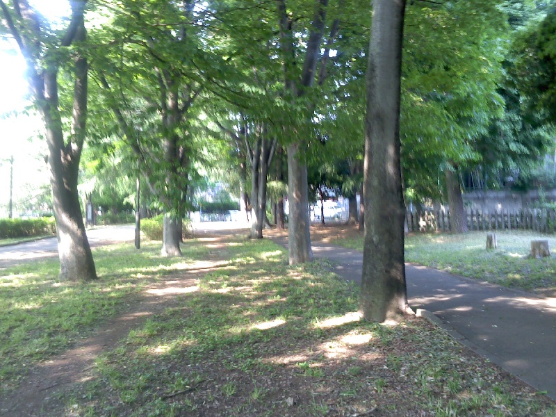 善福寺川緑地