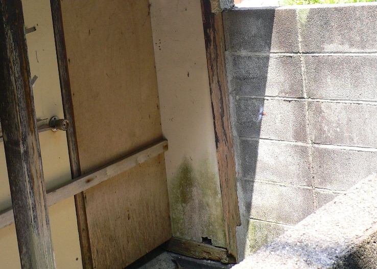 不気味な場所